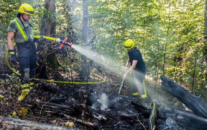Waldbrand, Birkenwald, Burgstetten-Erbstetten, 03.08.2022.