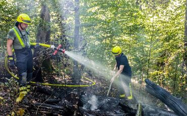 Waldbrand, Birkenwald, Burgstetten-Erbstetten, 03.08.2022.