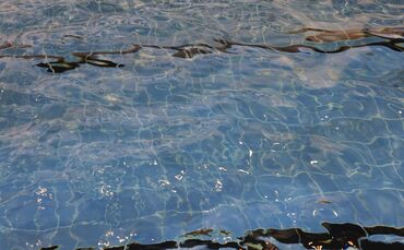 Schwimmbad Hallenbad Wasserbecken Schwimmbecken Symbolbild Symbol Symbolfoto