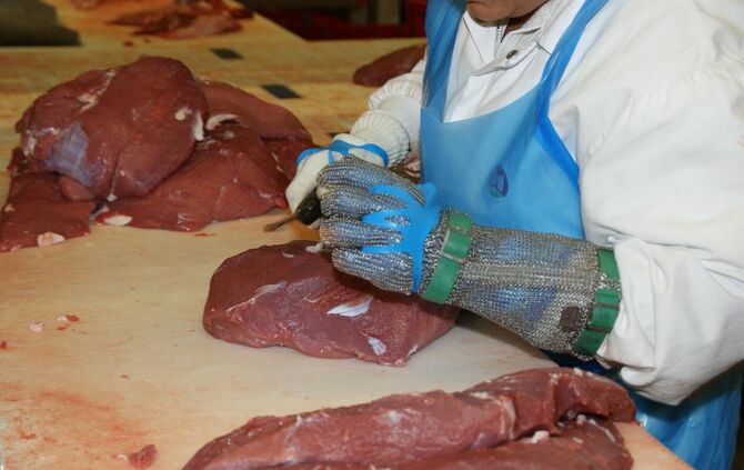 flesh-g2f2cab3eb_1920