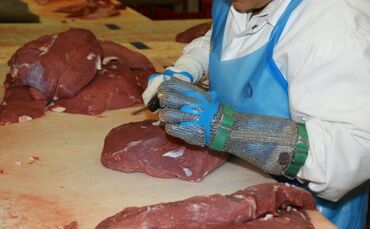 flesh-g2f2cab3eb_1920