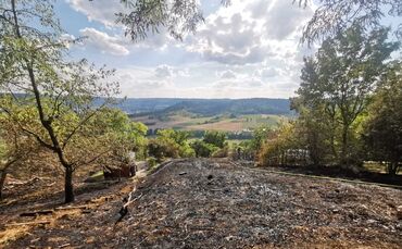 Brand Schorndorf 25.08.2022 Flächenbrand Garten Gartenhütte
