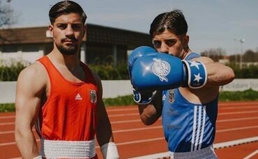 Sor Zwillinge Boxer Boxen