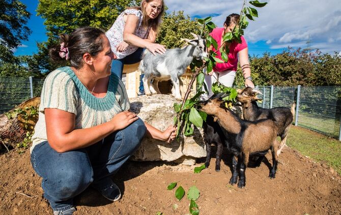 Fünf Zwergziegen als pädagogische Hilfskräfte mit den Leitungen Sabine Salchow, Dunja Hummel und Silvia Hügler des Kinder- und F