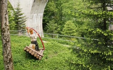 Waldbahn Kauffenmuhle Dampfzug