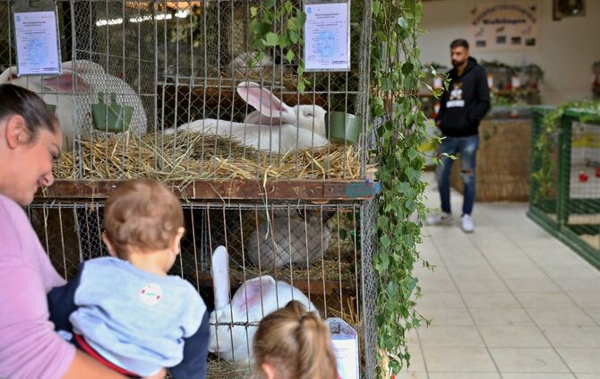 Kleintierzuchtverein