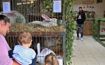 Kleintierzuchtverein