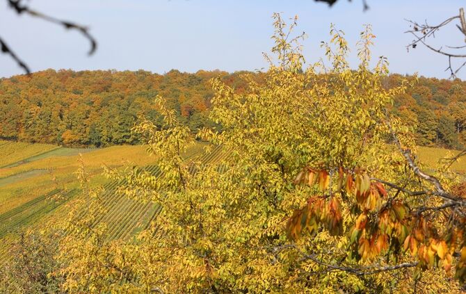 Herbst