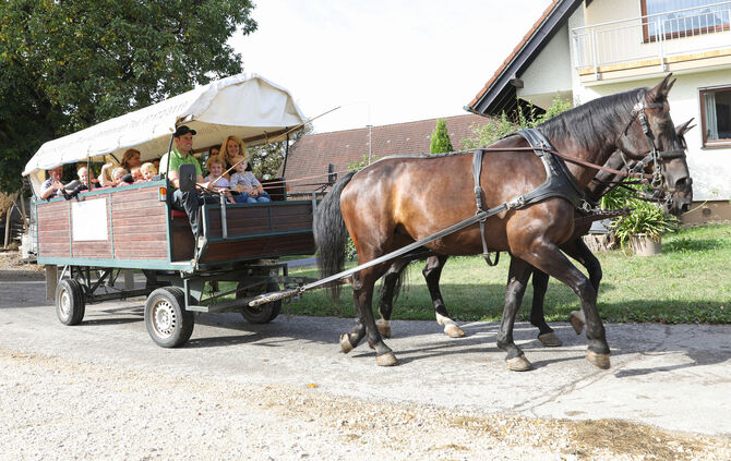 Planwagen Kutsche Alfdorf