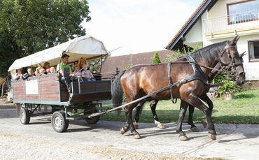 Planwagen Kutsche Alfdorf
