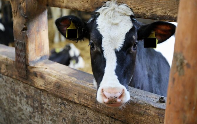 Landwirtschaft macht Schule