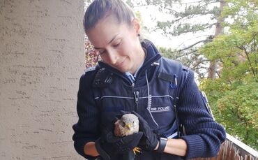 IMG_20220929_102212_resized_20220929_010549136