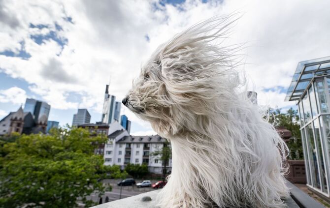 Stürme gab es schon immer in Deutschland.