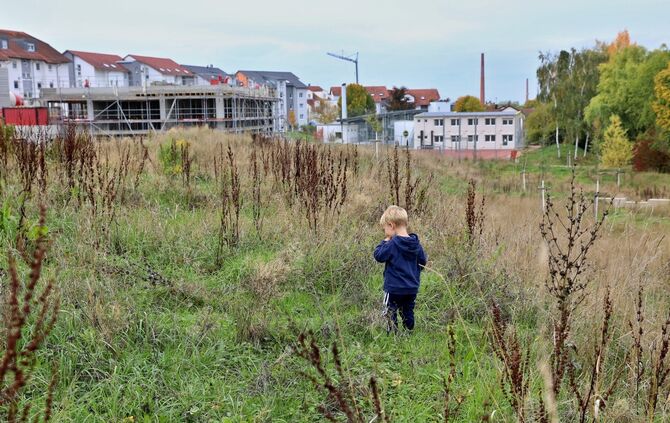 Spielplatz Adelsbach