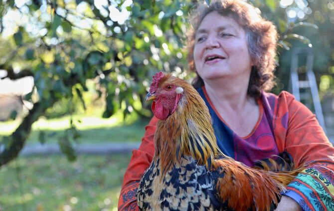 Hobby Hühnerhaltung