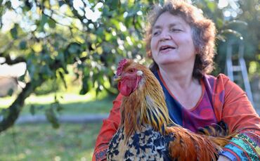 Hobby Hühnerhaltung