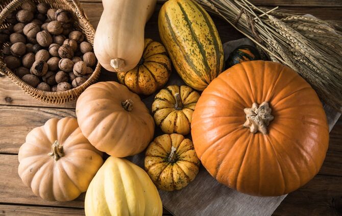 Eine große Ernte freut den Gärtner.