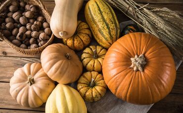 Eine große Ernte freut den Gärtner.