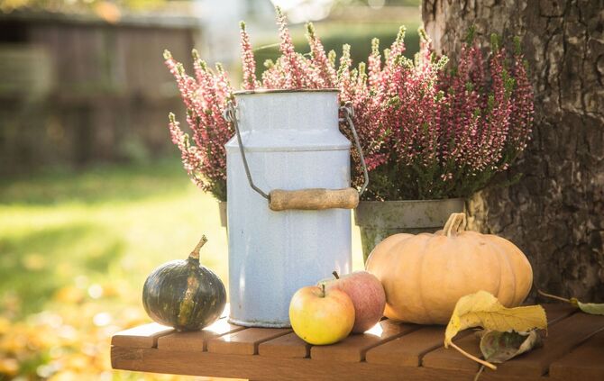 Eine bunte und dekorative Anordnung.