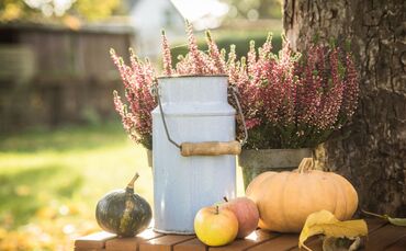 Eine bunte und dekorative Anordnung.