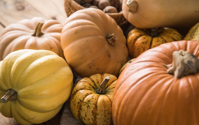 TW KürbisViele Kürbissorten sind essbar.