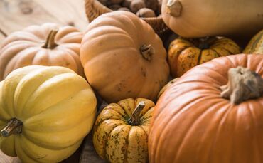 TW KürbisViele Kürbissorten sind essbar.