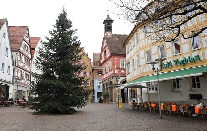 Weihnachtsbaum