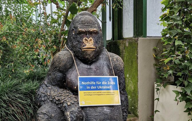 KW 46a Wilhelma unterstützt Zoos in Ukraine 17.11.2022 Bild 1