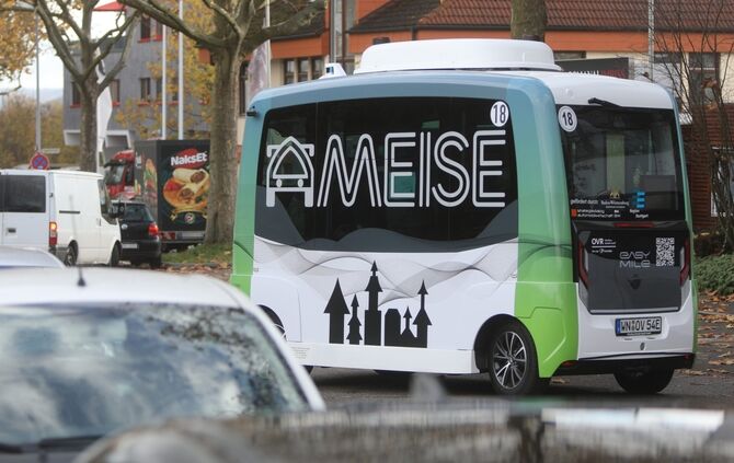 Ameise
