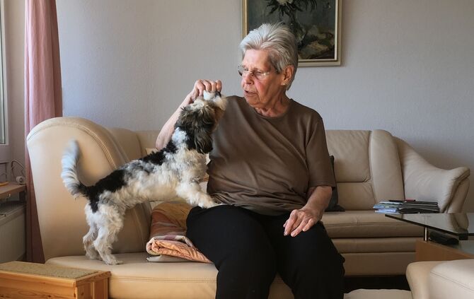 missing_title_1670491081