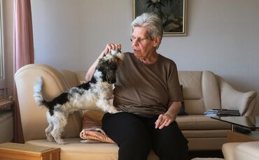 missing_title_1670491081