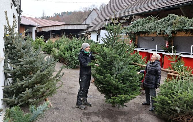 Weihnachtsbaum
