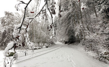 Symbolfotoschneefall