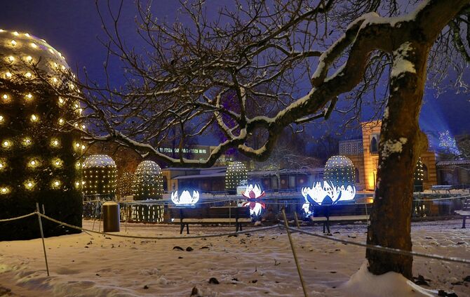 Wilhelma Schnee 3