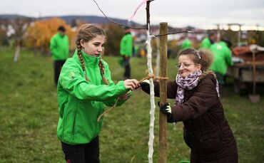 Inklusives Streuobstwiesenprojekt