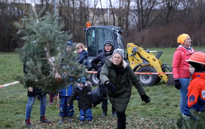Christbaumweitwurf