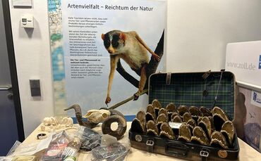 Zoll Flughafen Stuttgart