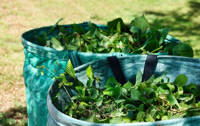 green-stuff-g2c0e627b7_1920