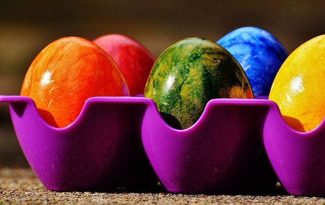 Eier