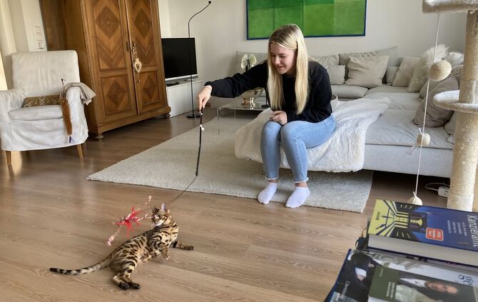 missing_title_1681217041