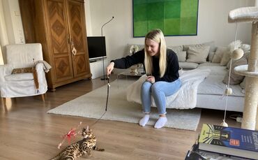 missing_title_1681217041