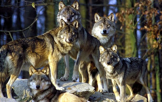 KOL 0506K129 ausflugsziele