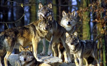 KOL 0506K129 ausflugsziele 