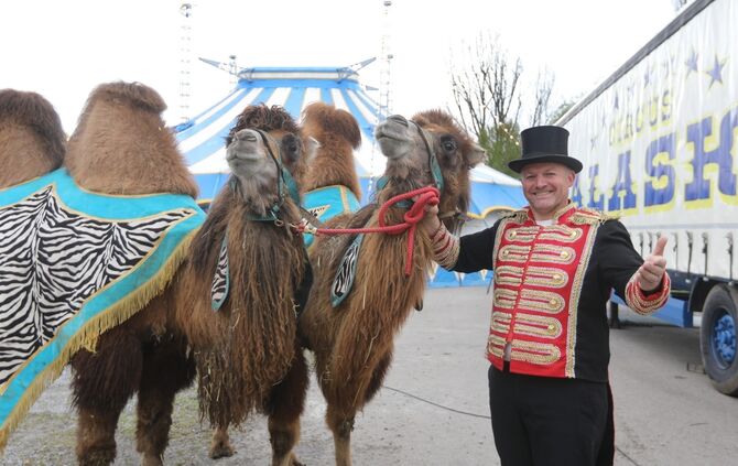 Circus Alaska