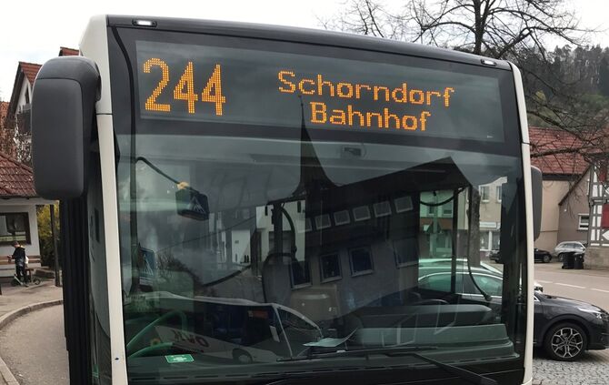bus