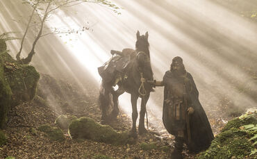 Fantasy Filmfest Night