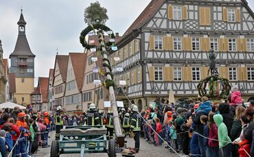 Maibaum-Aufstellung