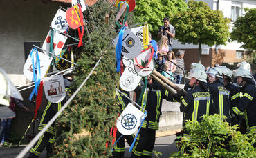 maibaum