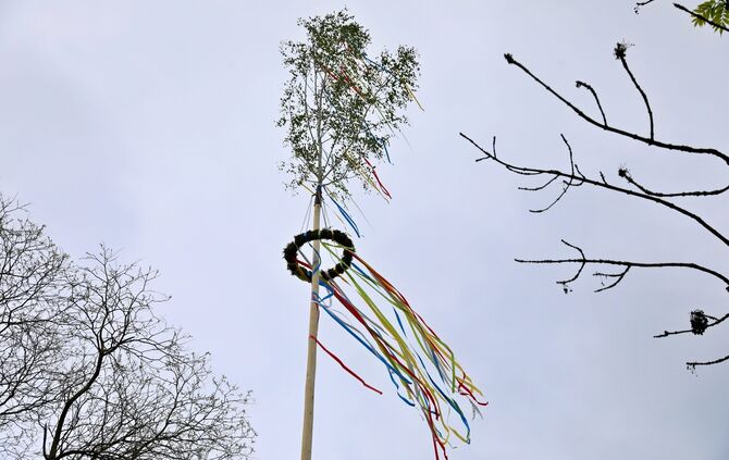 Maibaumfest
