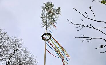 Maibaumfest 